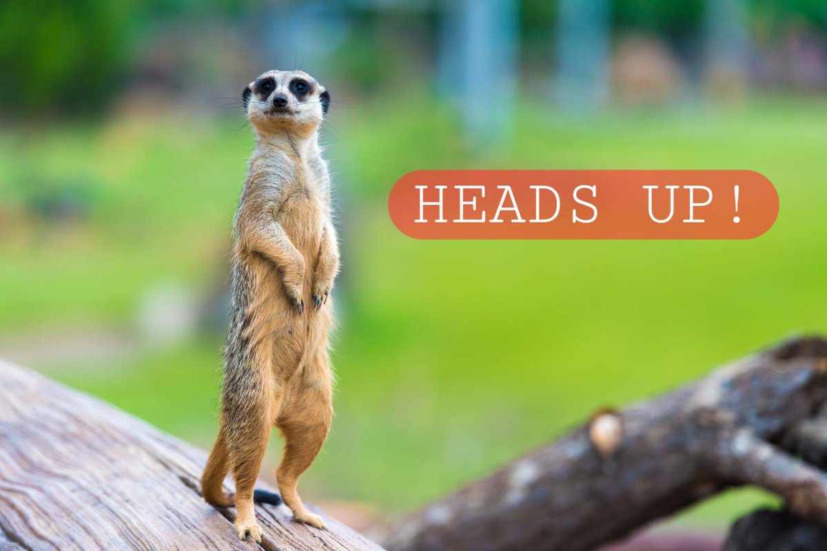 🕑It's been a minute... but several updates will be coming to you over the next bit, in the form of a newsletter as well as individual posts. Please keep informed on the Arlington Heights issue and share widely. Thank you! 🧪⚠️🚰🙏🗞️