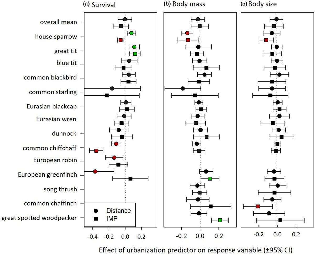 A country-wide examination of effects of #urbanization on common birds - #OpenAccess …lpublications.onlinelibrary.wiley.com/doi/10.1111/ac… #urbanecology #citizenscience #birdconservation