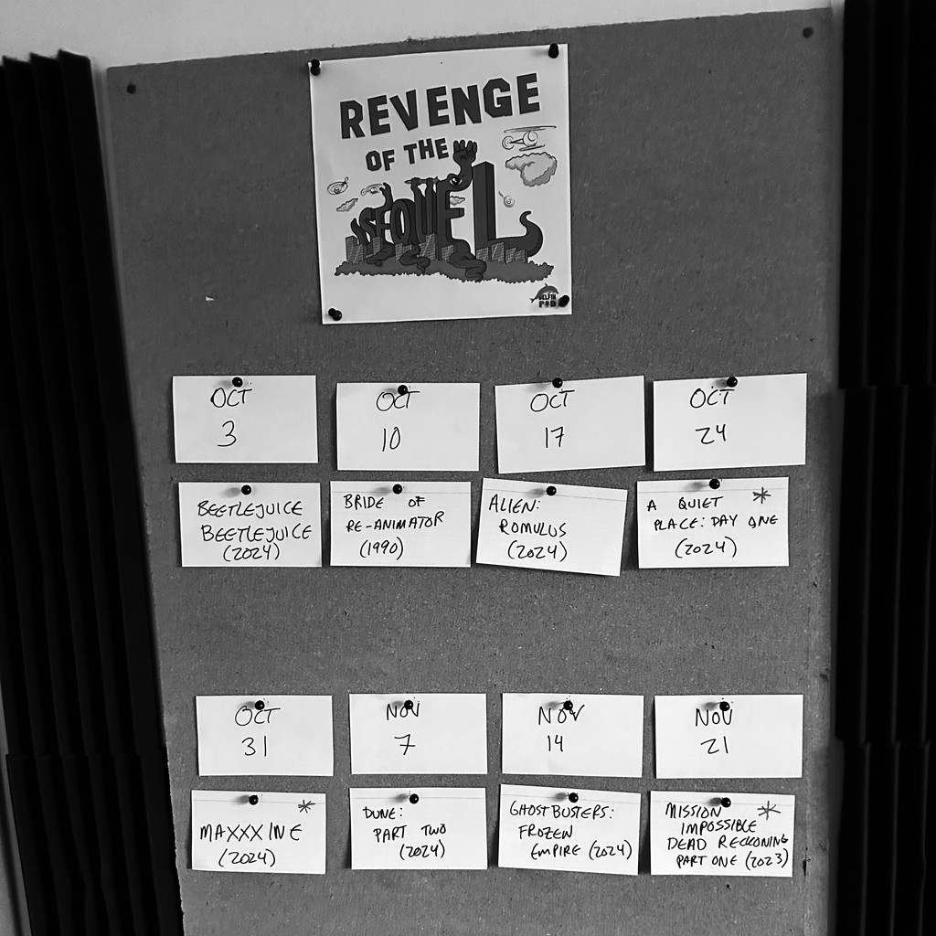 DelfinPod tweet media