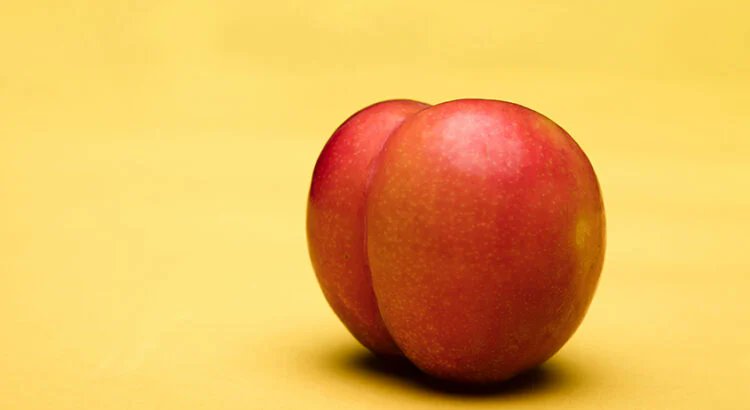 Cultination tweet media