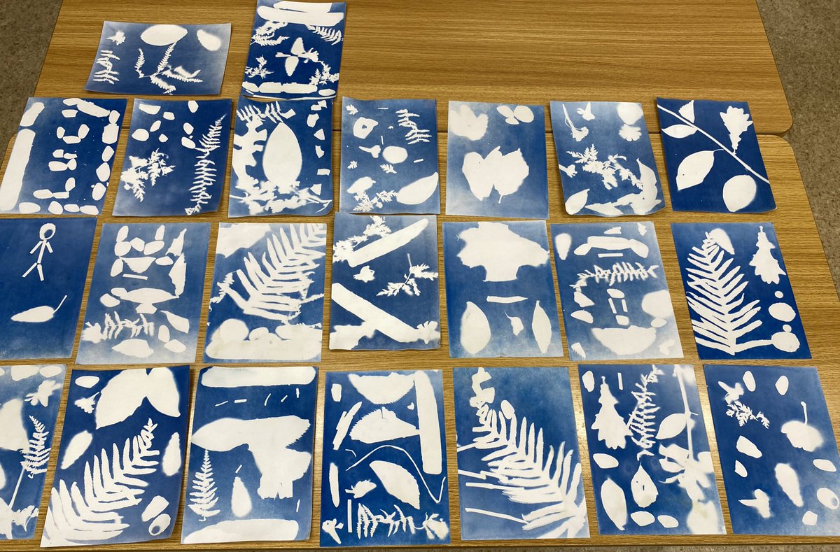 St. Joseph's N.S. tweet media