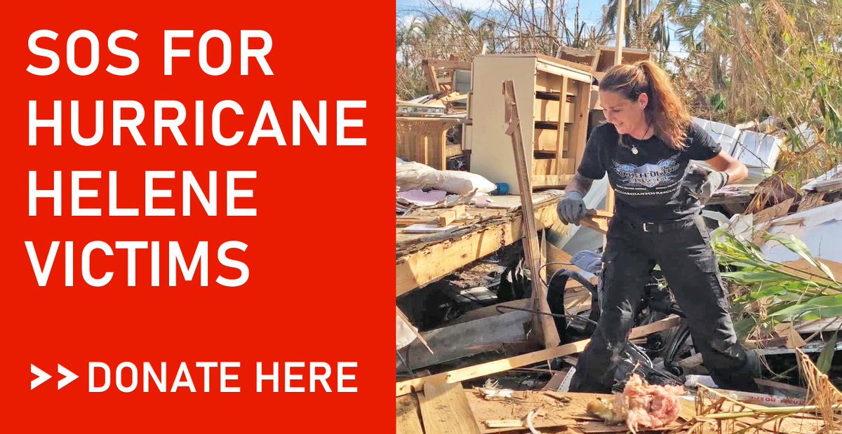 guardiansusa's tweet photo. SOS: Hurricane Helene Animals in Dire Need
Our teams are responding to several locations in the wake of the devastation caused by #HurricaneHelene People and animals  struggling to survive, please help us reach them!
DONATE: https://t.co/86rxkrlyg1
WATCH: https://t.co/JmCafNPUBF https://t.co/646MtN0ubj