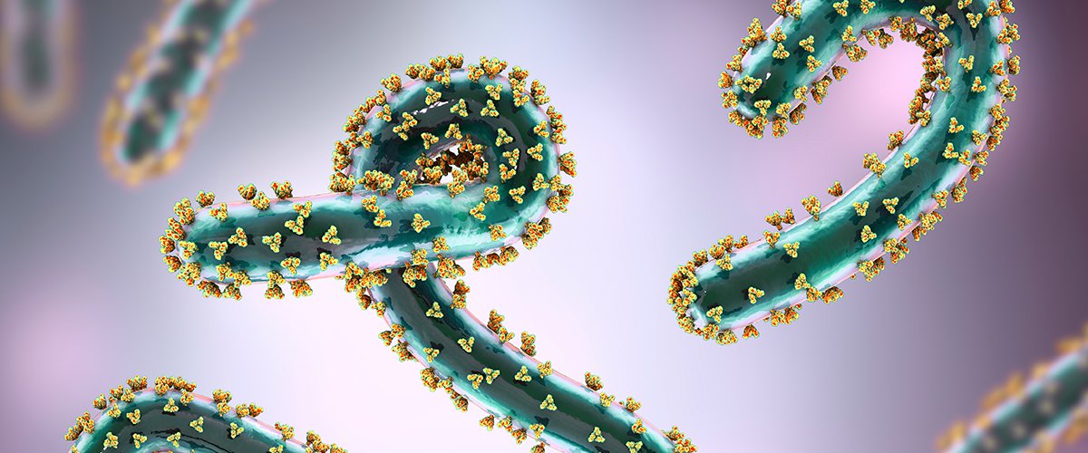 Travellers returning from #Rwanda to the EU/EEA should be advised to seek prompt medical care if they develop #MVD-compatible symptoms and mention their travel history, as well as possible exposure history and close contacts.

#Marburg