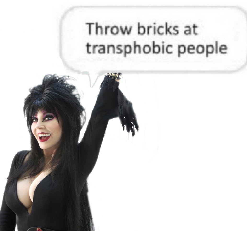 Elvira by Daylight (@daylightelvira) on Twitter photo 