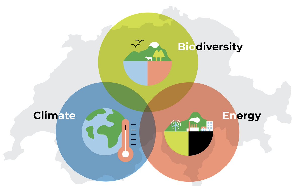 #PostDoc #position opening up in my group:

"#Spatial #Ecology and #Biodiversity Conservation in Switzerland" (2 years)

Part of speed2zero.ethz.ch/de/ initiative, apply by Nov 5th.

more info and apply here: apply.refline.ch/673277/1208/pu…

Please share widely!
🧵1/3