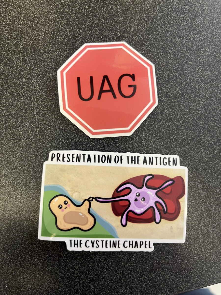 STOP in the name of antigen presentation! Get your own science sticker swag by visiting <a href="/Penn_EHRS/">PennEHRS</a>’s booths for biosafety month.