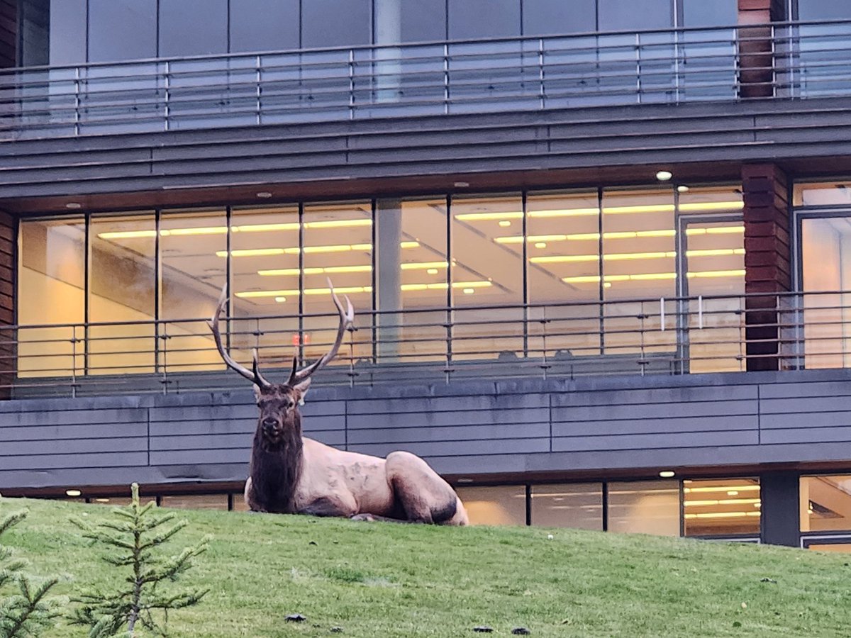 Kayla Price tweet media