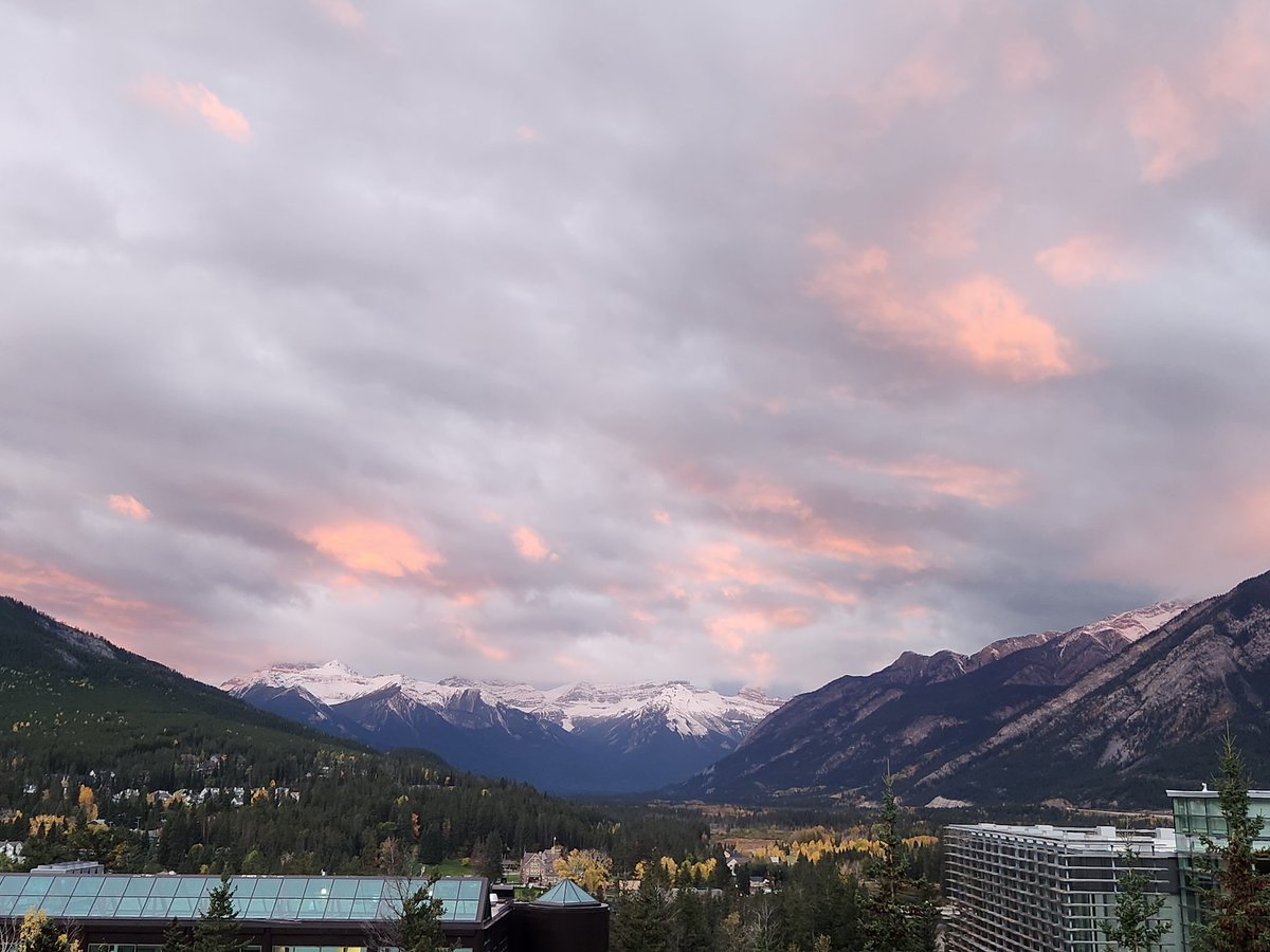 Kayla Price tweet media