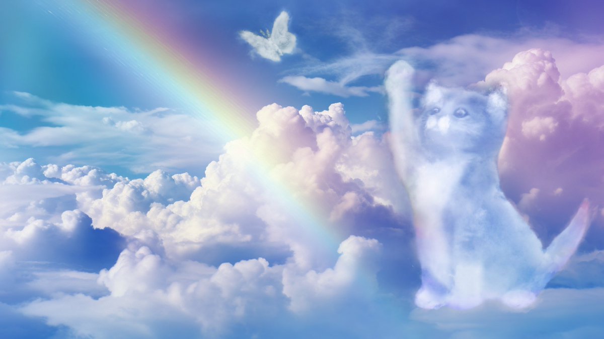 Soul_CTO's tweet photo. Keep our $soul alive https://t.co/9HOWwvbu0p