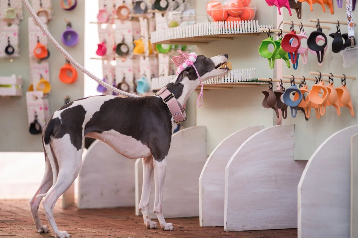You could win a dog-friendly break just for spreading the word about us!🤩

We’re in the running for the DogFriendly Awards, and we're keeping our fingers and paws crossed for your votes🤞🐾

Voting is super easy, and you could even win a luxury break🐶👇
dogfriendly.co.uk/shops/listing/…