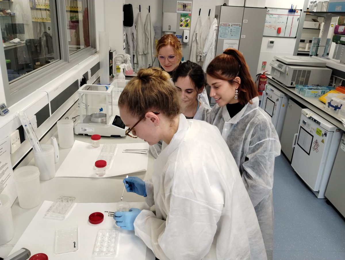 The Roger Williams Institute of Liver Studies (@inst_of_liver) on Twitter photo Module 4 - 3D Culture of Organoids and Expansion 👏👏
<a href="/EASLedu/">EASL Education</a> <a href="/EASLnews/">EASLnews</a> <a href="/f4liverresearch/">Foundation for Liver Research</a> <a href="/KCLImmunoMicro/">School of Immunology & Microbial Sciences</a> <a href="/kingsmedicine/">King's Faculty of Life Sciences & Medicine</a> <a href="/ChokshiLab/">Chokshi Lab London</a> <a href="/DrElePalma/">ElePalma</a> <a href="/UrbaniLab/">Urbani Lab</a> <a href="/Mariamaartinezg/">Maria Martínez Gómez</a> <a href="/taniapayos/">Tania</a> <a href="/NHermanSanchez/">Natalia Herman Sánchez</a> <a href="/anand_naomi/">Nilofer Naomi Sayed</a> <a href="/RitaBraghini/">IamRitaBraghini</a> <a href="/VHIR_/">Vall d'Hebron Institut de Recerca</a> <a href="/IBIOMED1/">IBIOMED</a> <a href="/IMIBIC/">IMIBIC</a> #EASLschool24 #EASLSchools Module 4 - 3D Culture of Organoids and Expansion 👏👏
<a href="/EASLedu/">EASL Education</a> <a href="/EASLnews/">EASLnews</a> <a href="/f4liverresearch/">Foundation for Liver Research</a> <a href="/KCLImmunoMicro/">School of Immunology & Microbial Sciences</a> <a href="/kingsmedicine/">King's Faculty of Life Sciences & Medicine</a> <a href="/ChokshiLab/">Chokshi Lab London</a> <a href="/DrElePalma/">ElePalma</a> <a href="/UrbaniLab/">Urbani Lab</a> <a href="/Mariamaartinezg/">Maria Martínez Gómez</a> <a href="/taniapayos/">Tania</a> <a href="/NHermanSanchez/">Natalia Herman Sánchez</a> <a href="/anand_naomi/">Nilofer Naomi Sayed</a> <a href="/RitaBraghini/">IamRitaBraghini</a> <a href="/VHIR_/">Vall d'Hebron Institut de Recerca</a> <a href="/IBIOMED1/">IBIOMED</a> <a href="/IMIBIC/">IMIBIC</a> #EASLschool24 #EASLSchools