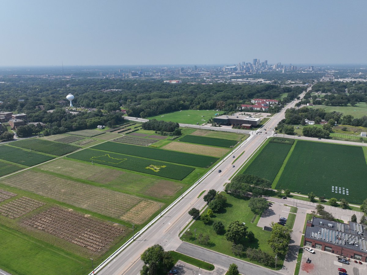 Fun project spearheaded by Lucas Roberts of the Lorenz Lab!  State outline and big M planted in golden soybeans.