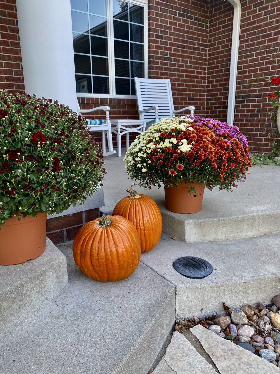 #thankfulthursday

Prep your pumpkins: wash &amp; dry the pumpkin. Then spray pumpkin with cheap hair spray—-the cheaper, the better. The hairspray will seal the pumpkin from decaying &amp; give a beautiful shine. 

#pumpkins #ptsgarden #gardening #iowa #midwest #autumn