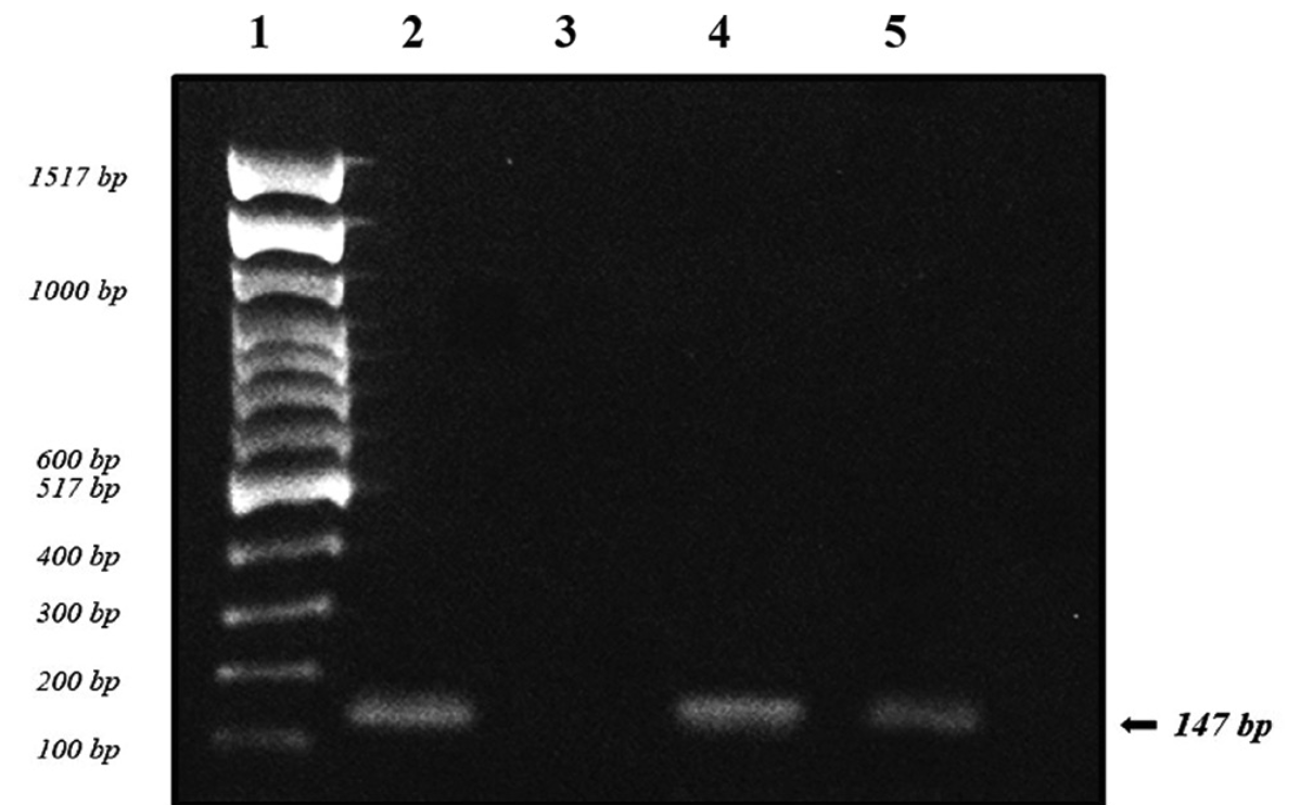Elisabeth Bik tweet media