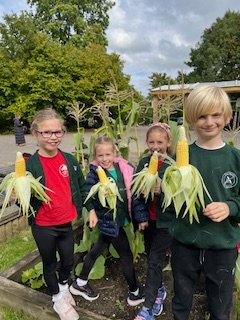 The Butts Primary tweet media