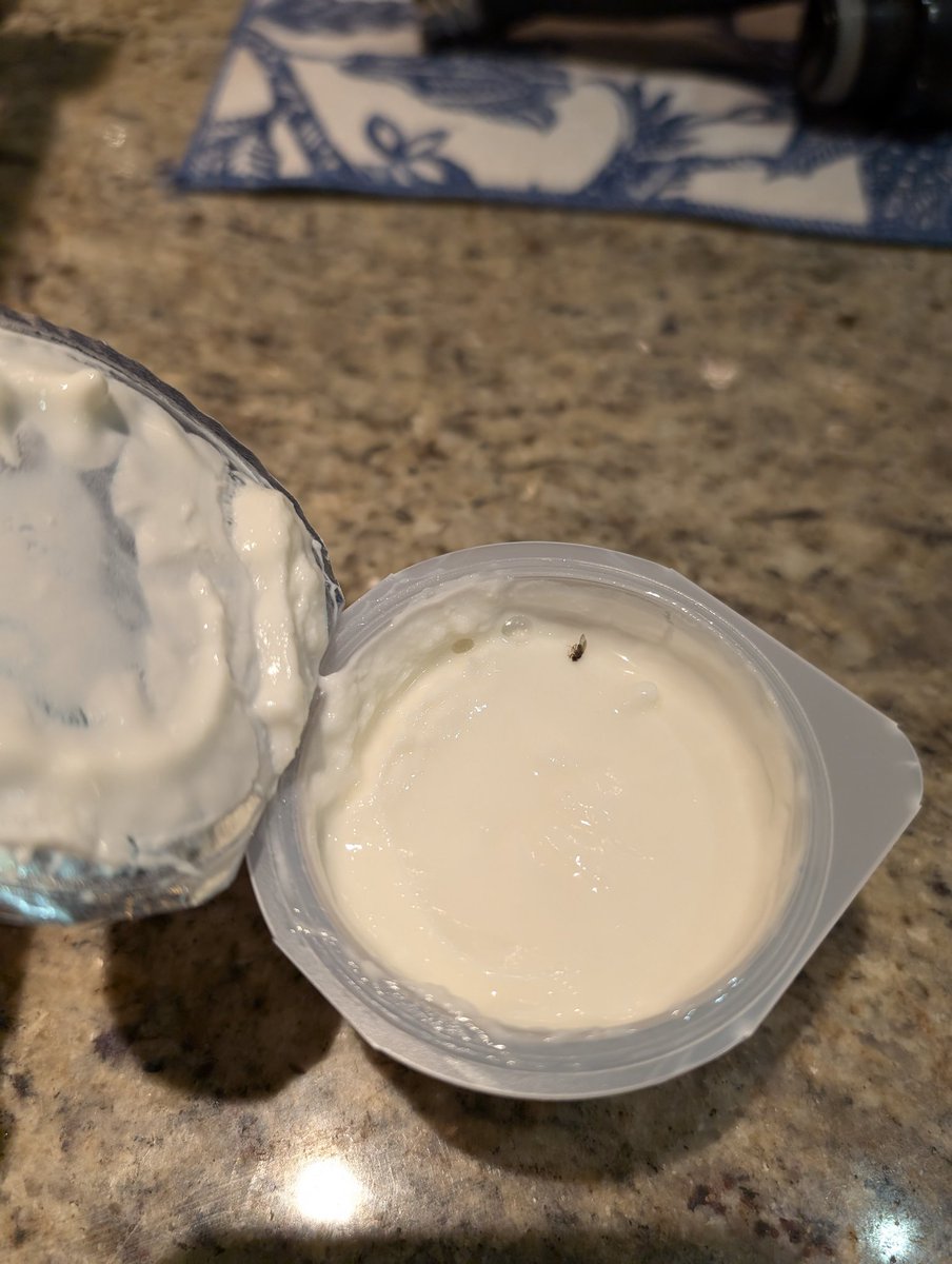 .<a href="/Oikos/">OIKOS</a> hi there, I usually love having my oikos yogurt in the mornings but I bought some new little vanilla tubs yesterday and today, when I opened it fresh from sealed, it had a fly inside 😬 thought you should know!