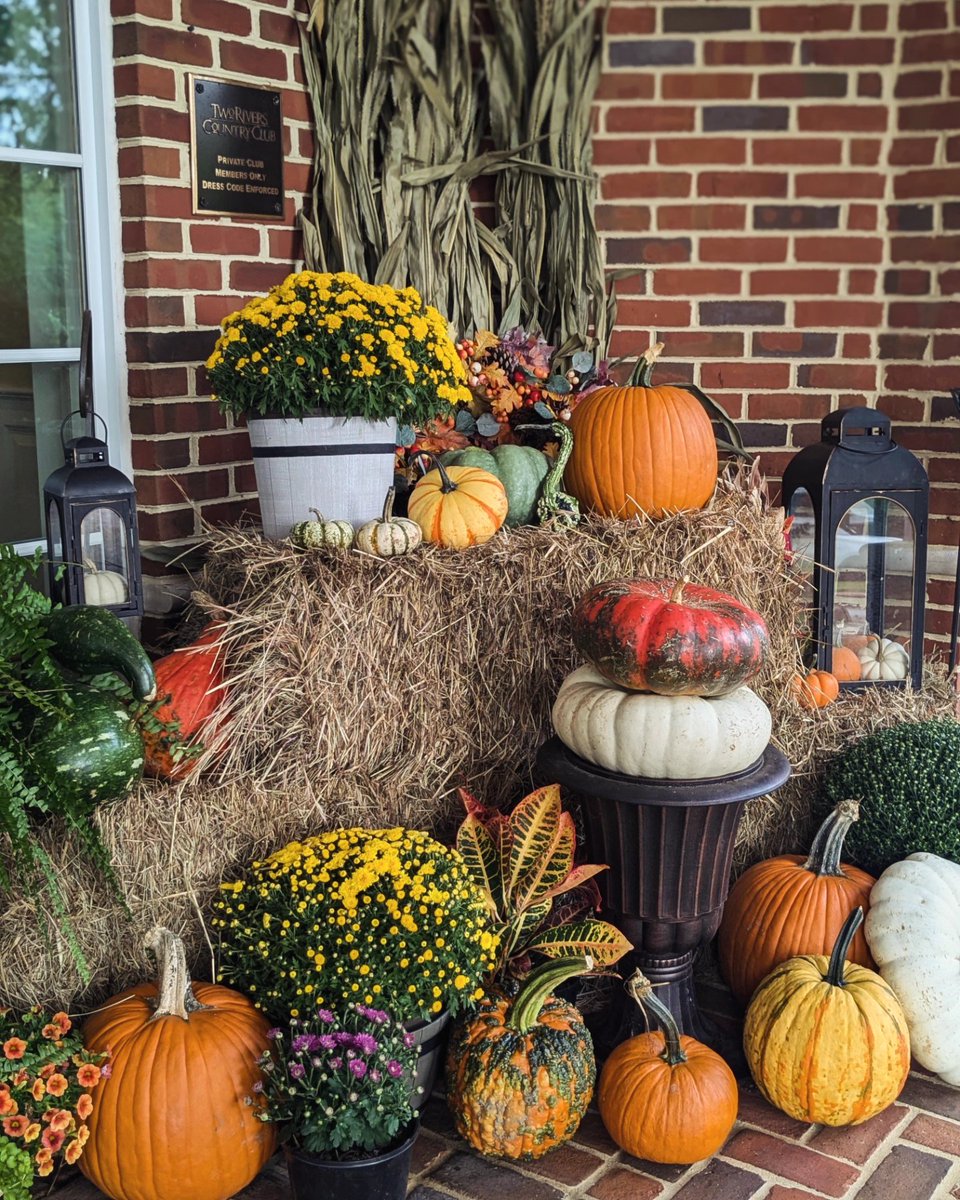 Governors_Land's tweet photo. It's beginning to look a lot like Fall around here! 🍁🍂

#fall #governorsland #tworiverscountryclub https://t.co/Q9SpaDqaiz