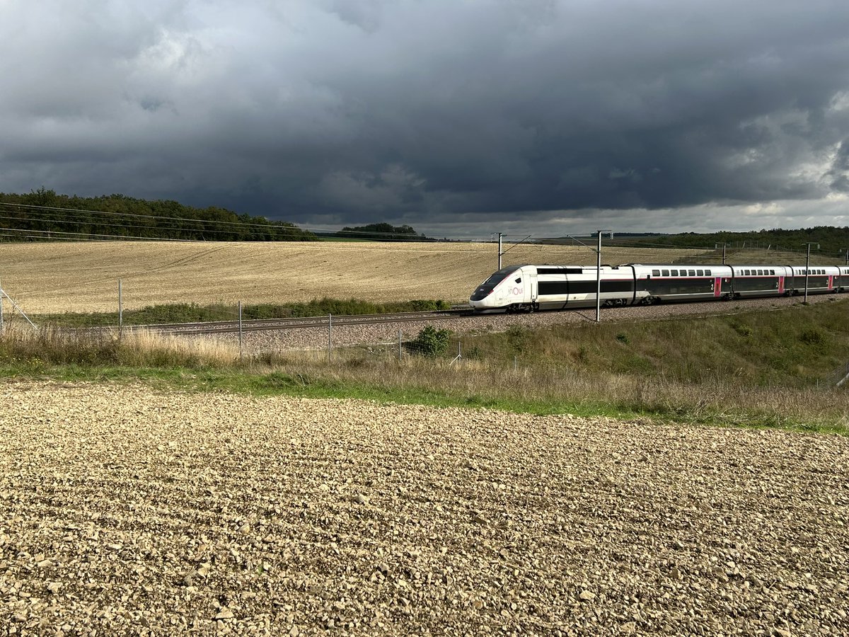 BONNIN1402's tweet photo. Petites terres à cailloux à rendement à Petite Vitesse (📸2, #pk153)
Autre type de sol à faible réserve hydrique :(📸2&3) avec herse plate en reprise avant semis demain (cas rare vu les ondées et l’absence de☀️) ou avec Green de golf ⛳️ de #RayGrass
On refait un #FauxSemis? https://t.co/gvl1g8YL0i