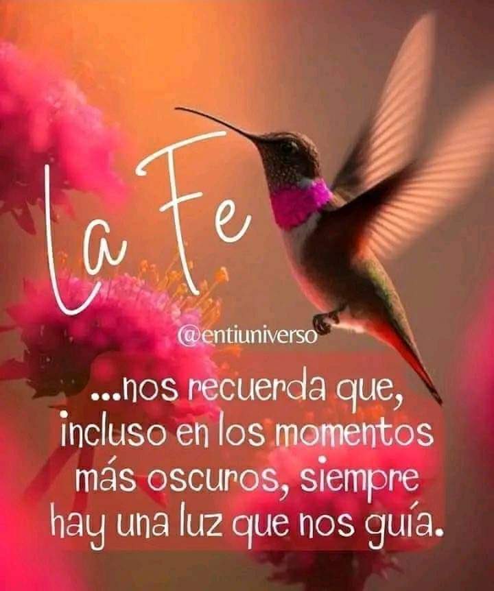 Aly Chacon (@aly_chacon) on Twitter photo 