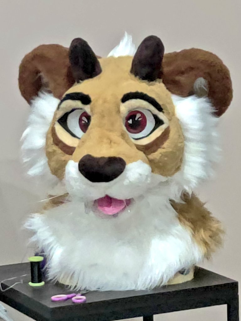 Coyote CraftWorks tweet media