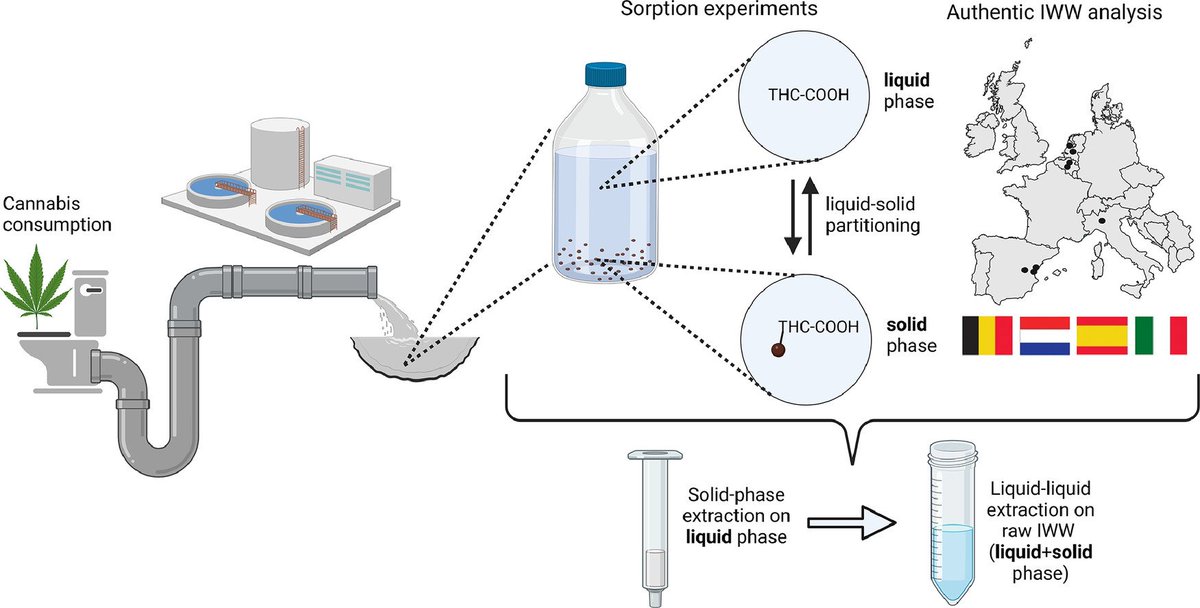 Excited to share our latest article on monitoring #cannabis in influent #wastewater, focusing on the partitioning of THC-COOH between the liquid and solid phases. Huge thanks to all our collaborators! 🙌
🔗link: shorturl.at/9ksSM