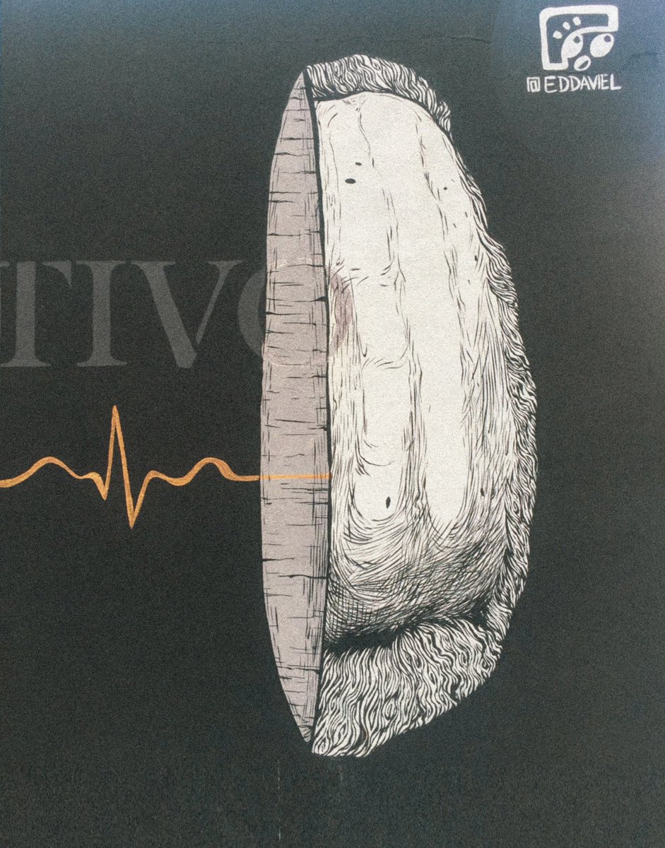 MEMORIAS DE EDDAVIEL, MADRID MMXVIII.

Mural inspirado en los versos del poeta español Leopoldo de Luis, POR UN VIVIR ACTIVO:

“No es verdad que tengamos que morirnos.Nadie se muere si en la tierra deja una clara semilla que la reja del arado del tiempo ahinque.”

#art #rd