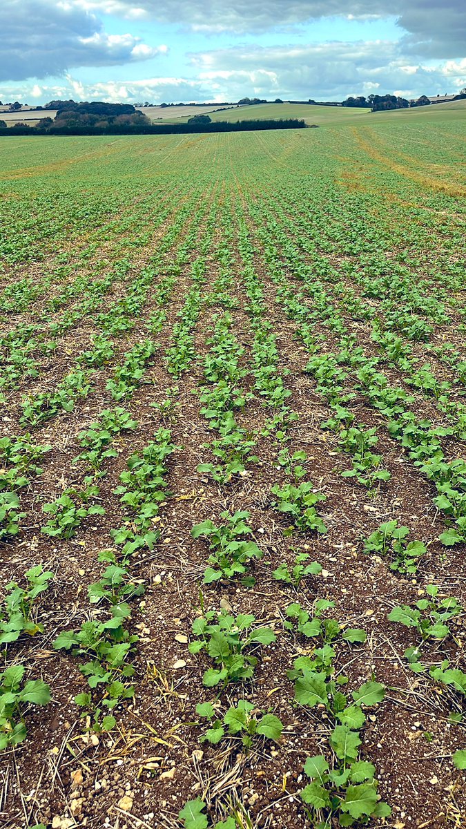 Focusing on the crops that are growing, rather than the ones in the bag.