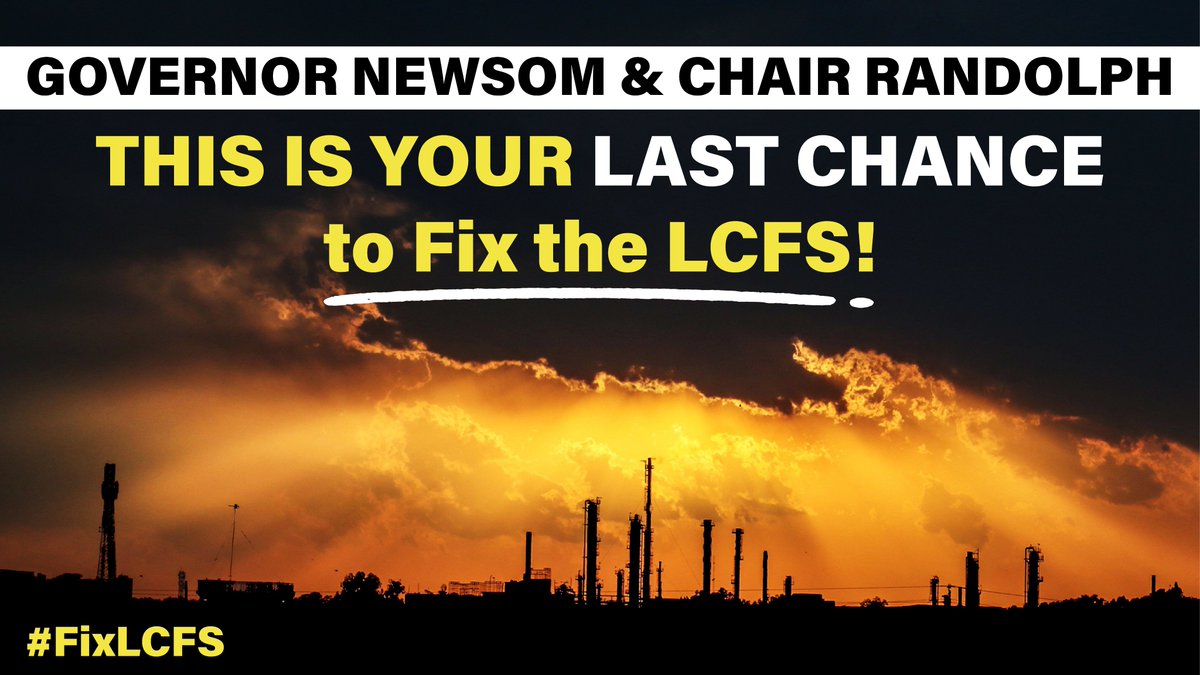 Sunflower Alliance tweet media