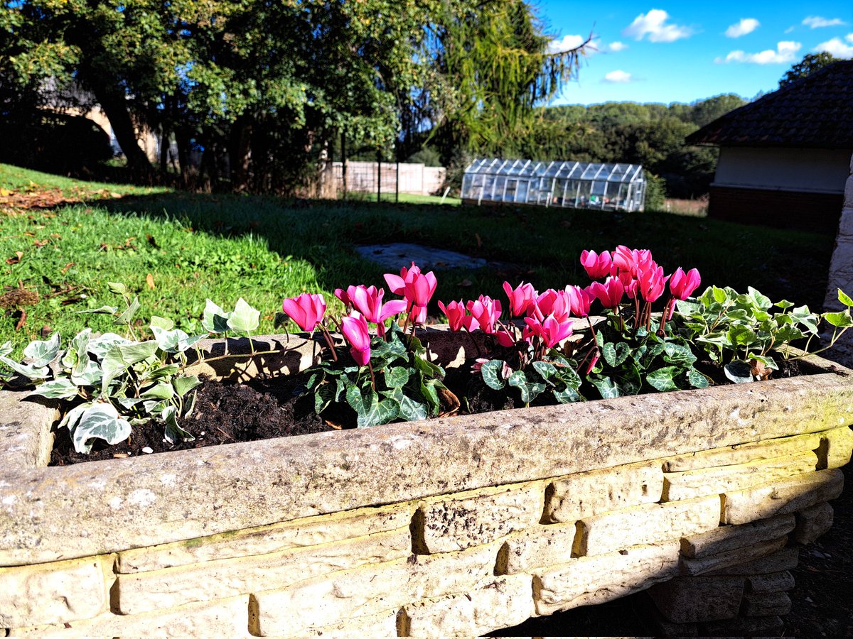 Glen the IHS Groundsman tweet media