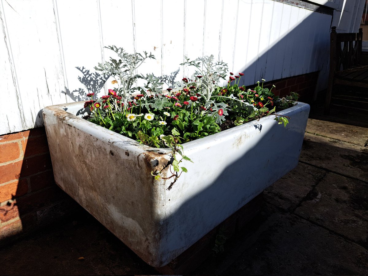 Glen the IHS Groundsman tweet media