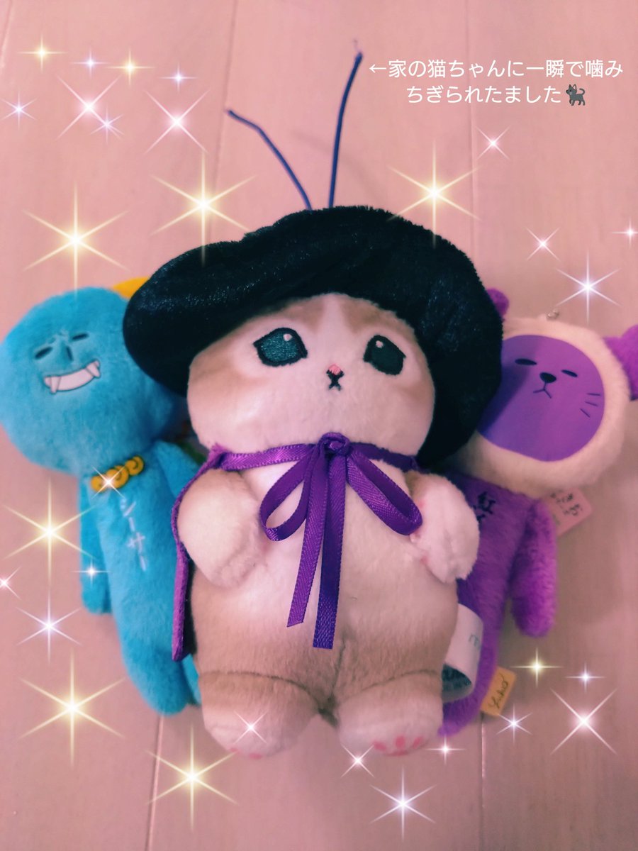 今回で最後のタケミチクイズ…答えてくれた皆様ありがとうございました🙇
こんなくだらないクイズなのに何回も悩んで変更して本気で考えてくれたことに泣きそうです🥹

これから朝まで集計します😂
上位20名の方にはプレゼント渡せると思いますので少々お待ち下さい！
#沖縄秘密基地
#タケミチクイズ