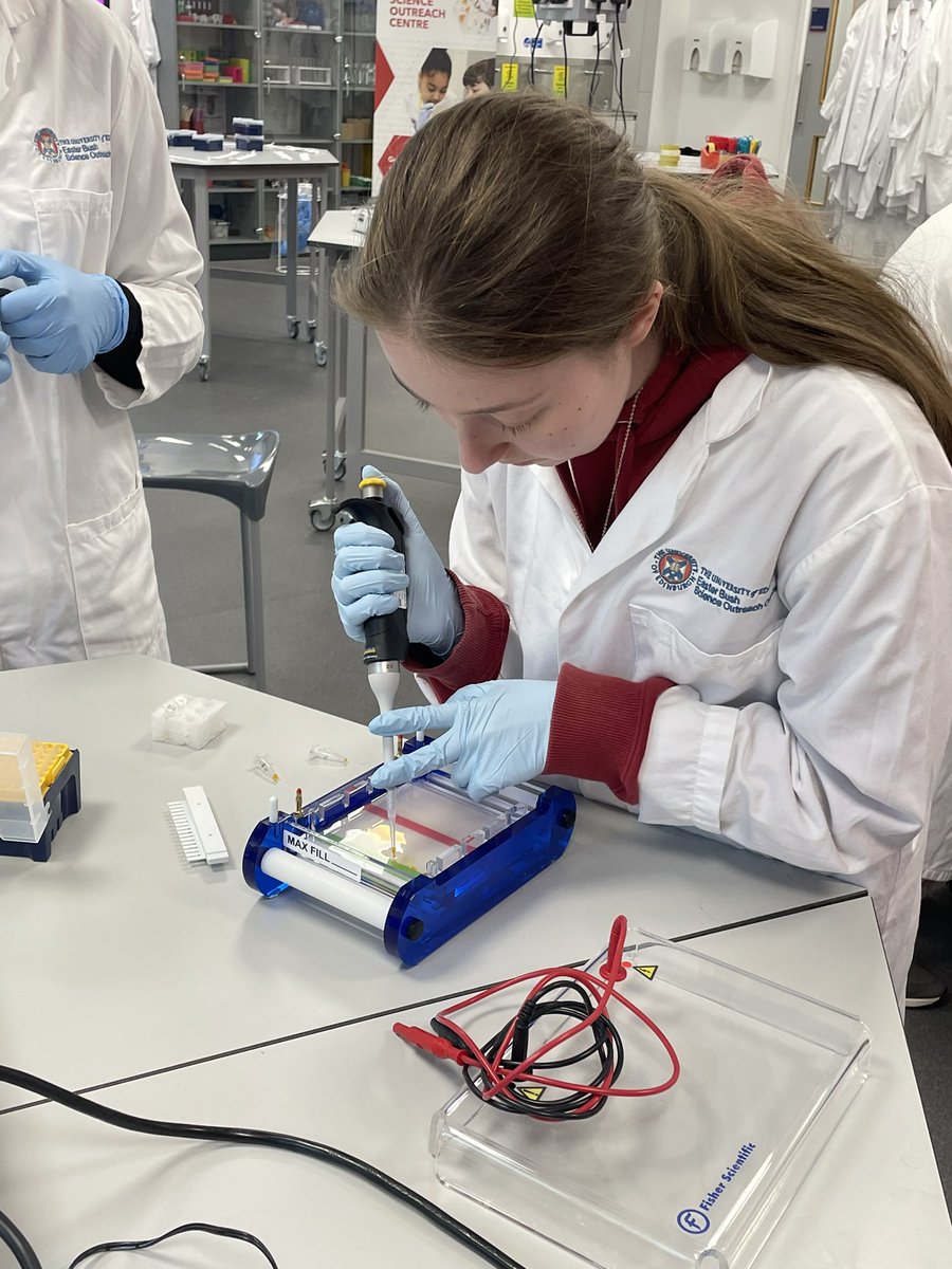 Ullapool High School tweet media