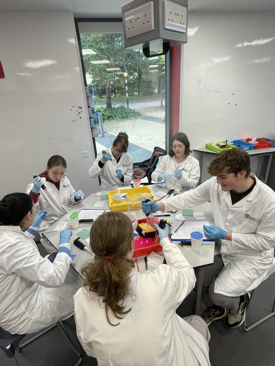 Ullapool High School tweet media