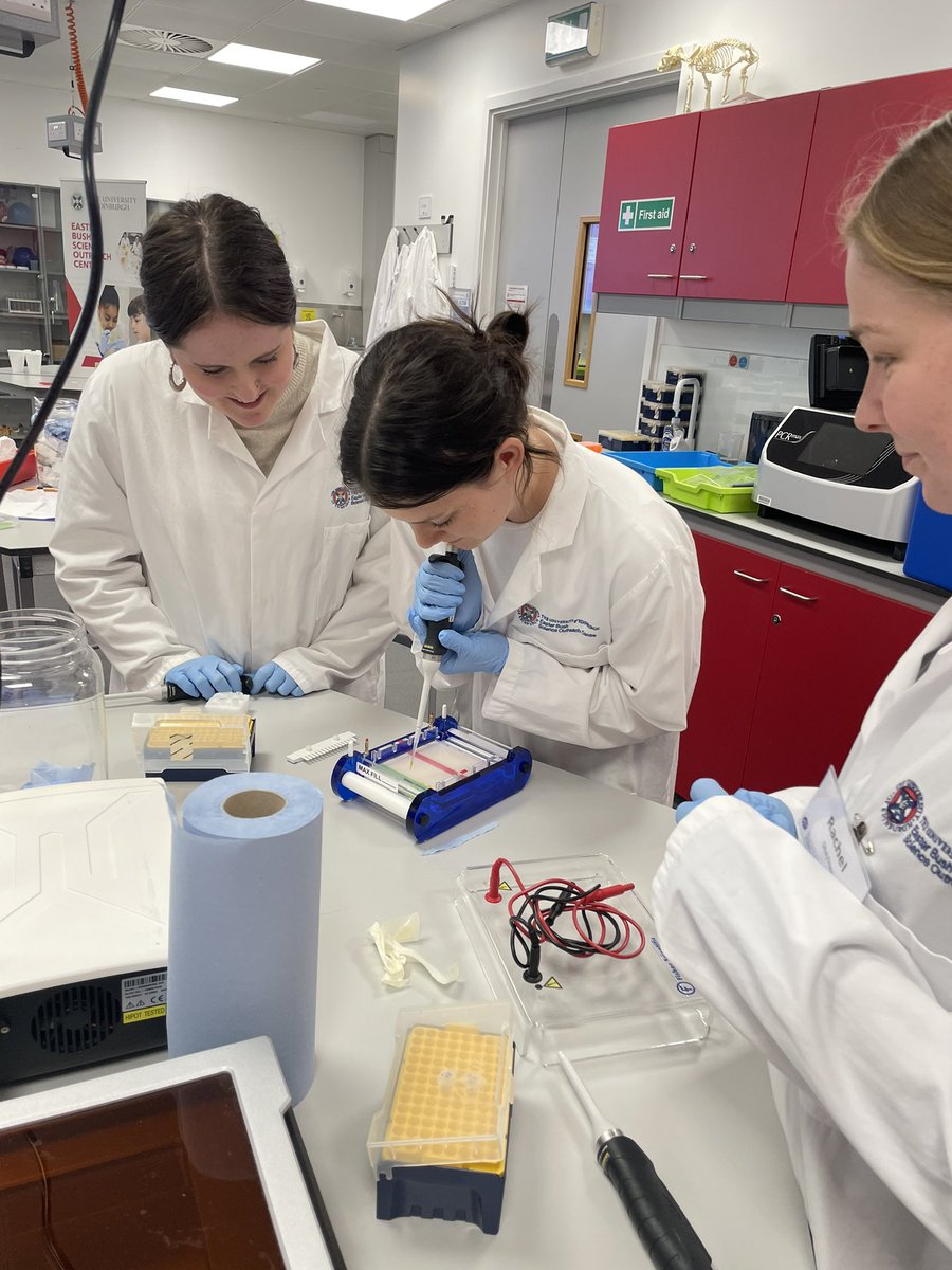 Ullapool High School tweet media