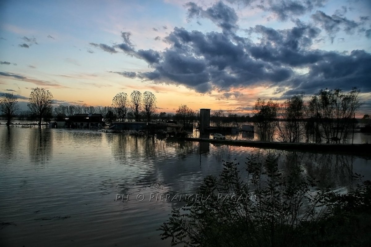 @ferrarisergio4 tweet media