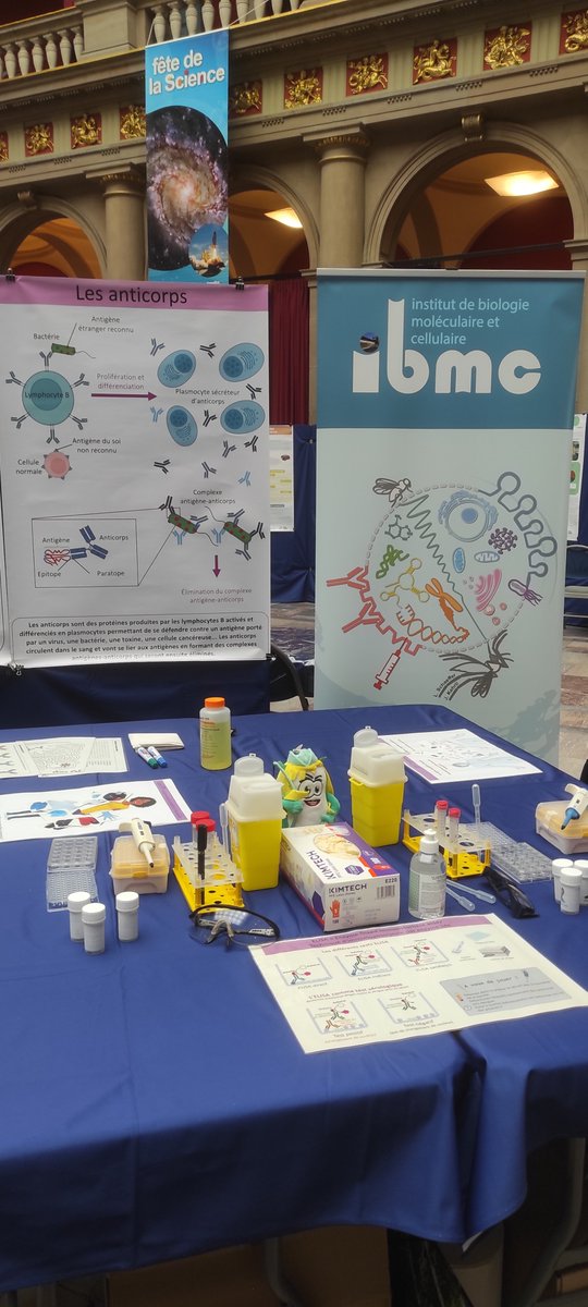 I2ctIbmc's tweet image. Quelque chose se prépare !
Et oui, dès demain, nous serons présents au village des sciences du palais universitaire 👩‍🔬🔬
Rdv tout le weekend :
-Vendredi : accueil des scolaires 
-Samedi  et dimanche : tout public. Nous vous attendons nombreux 😉
@CNRS_Alsace @ARN67IBMC