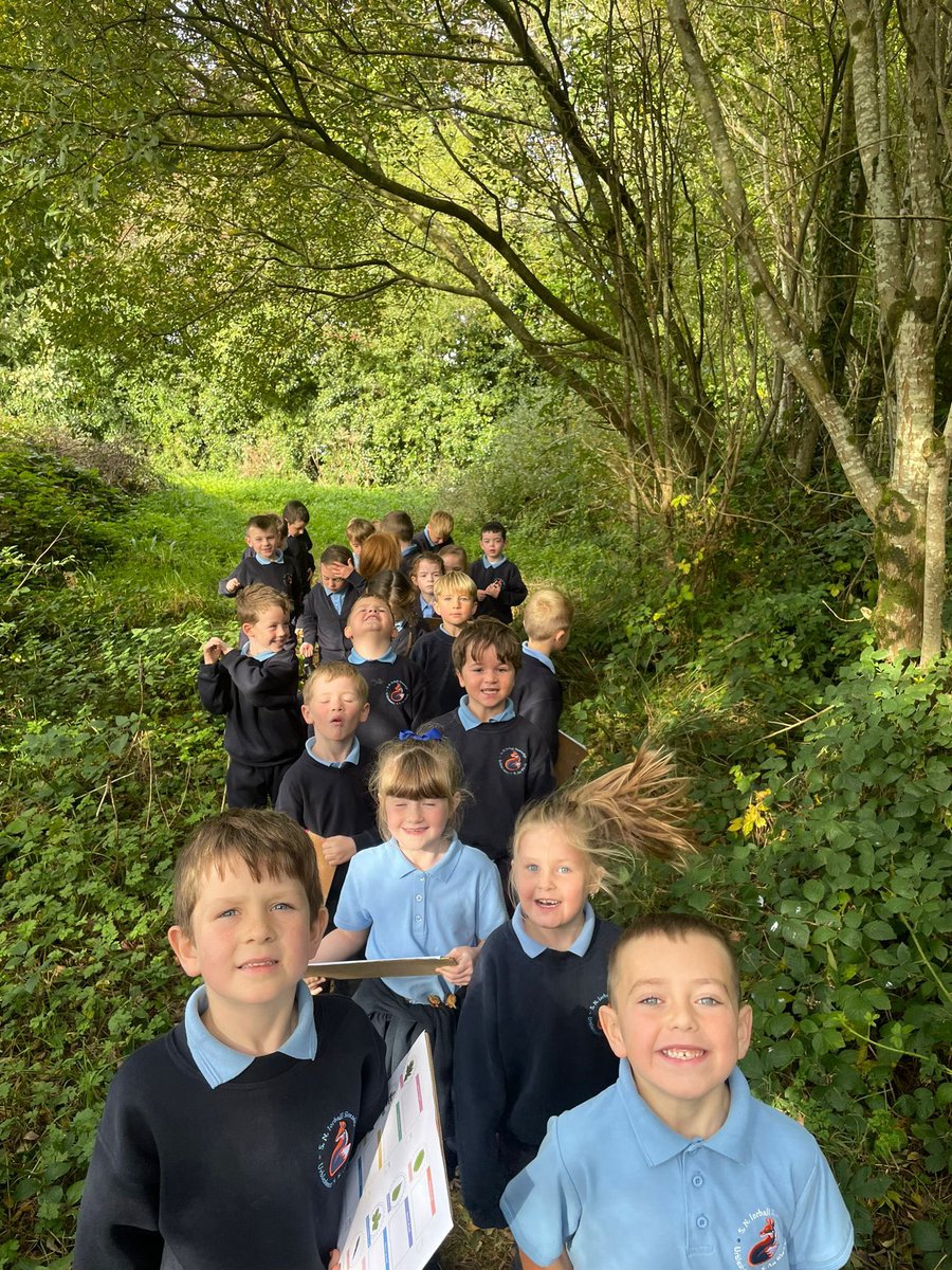 To mark #nationaltreeday, Mrs. Mc Crudden’s first class enjoyed a walk to the nature park. They had great fun using keys to identify and name trees! <a href="/SPARIreland/">SPAR Ireland</a> <a href="/OidePrimarySTEM/">Oide Primary STEM</a>