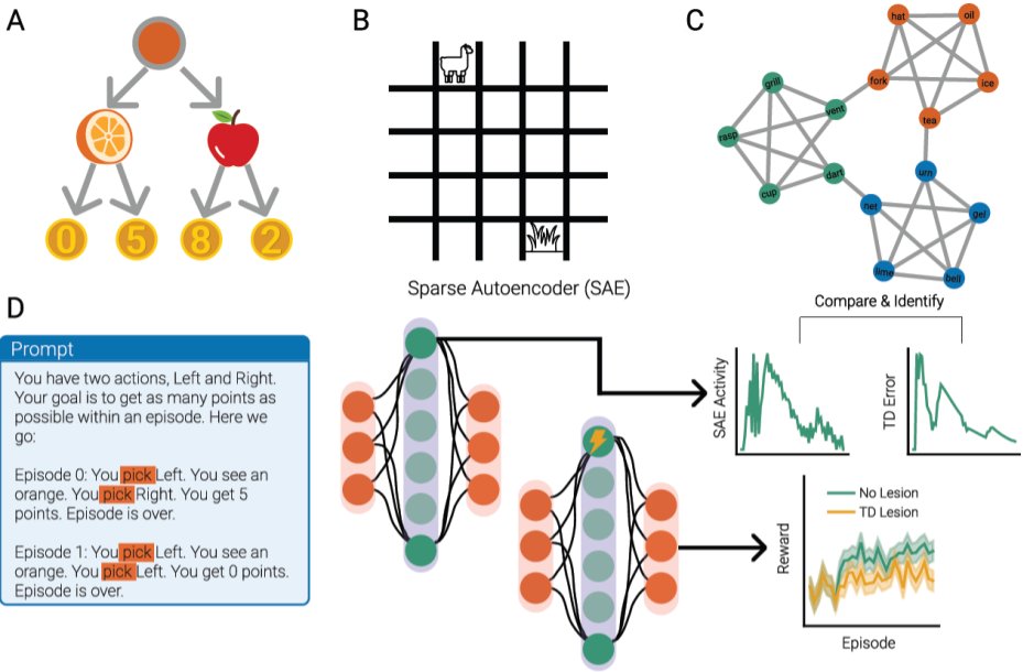 Tankred Saanum (@tankredsaanum) on Twitter photo Can LLMs do reinforcement learning in-context - and if so, how do they do it? Using Sparse Autoencoders, we find that Llama 3 relies on representations resembling TD errors, Q-values and even the SR to learn in three RL tasks in-context! Co-lead with the inimitable <a href="/can_demircann/">Can Demircan</a> Can LLMs do reinforcement learning in-context - and if so, how do they do it? Using Sparse Autoencoders, we find that Llama 3 relies on representations resembling TD errors, Q-values and even the SR to learn in three RL tasks in-context! Co-lead with the inimitable <a href="/can_demircann/">Can Demircan</a>