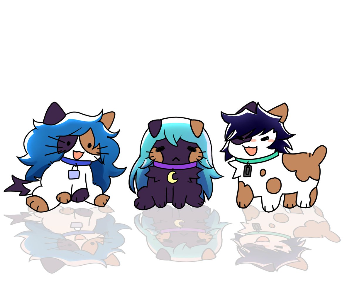 14: have you seen a cat with a wig before