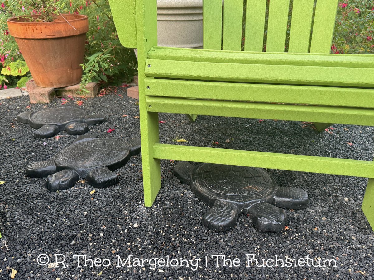 Fuchsiarius | R. Theo Margelony tweet media