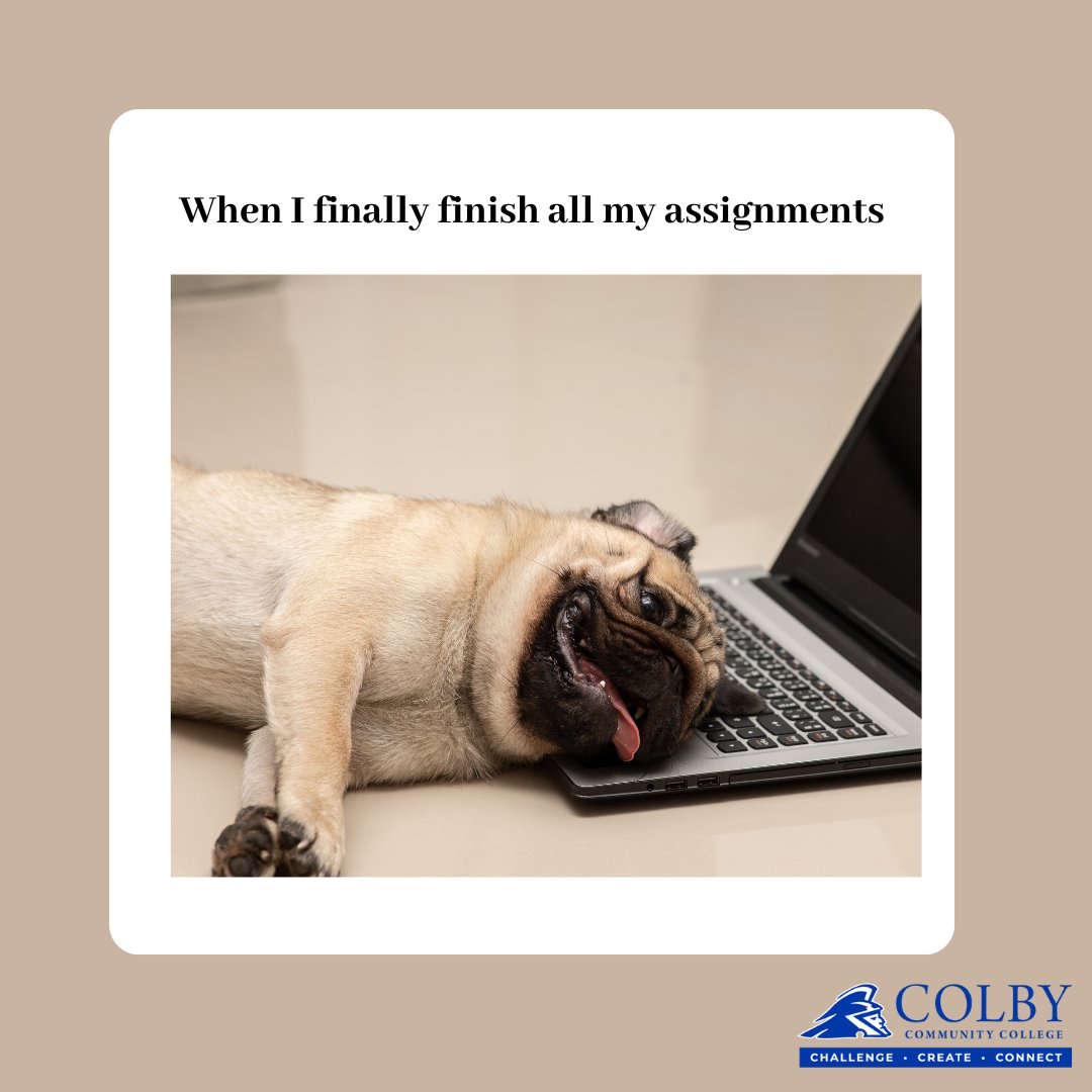 ColbyCCollege's tweet image. It&apos;s Friday-Eve! Make sure all your assignments are completed! Have a good weekend, be safe, make good choices, be awesome! #SeeYouMonday #LastDayOfClasses #Weekend #Vibes #Pugs #IamCCC #GoTrojans #Homework #Assignments