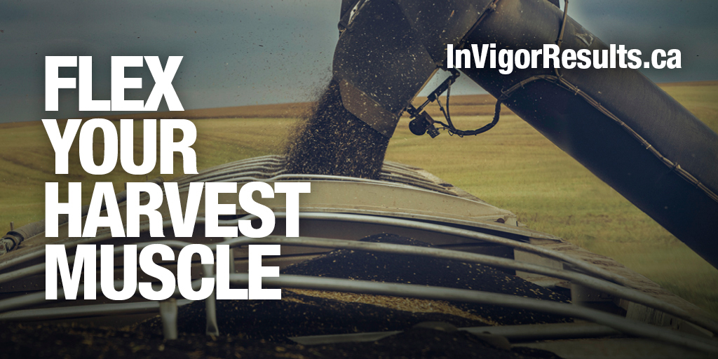 The results are pouring in at InVigorResults.ca. See how your favourite #canola hybrids are performing in our replicated trials. And check back often, because we’ll be posting new results regularly. #InVigor