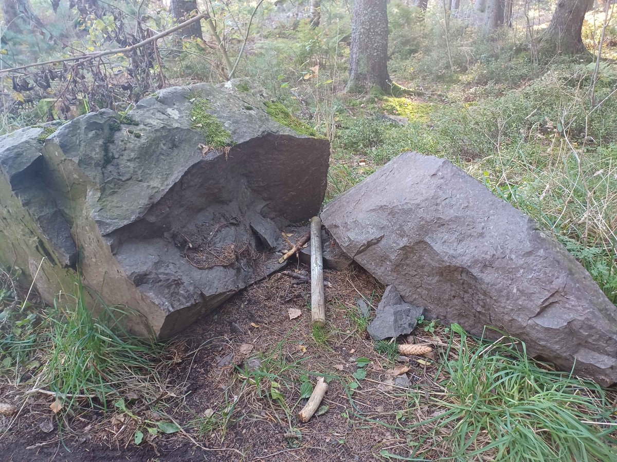 MetaSelene's tweet image. You can also have some pics from the journey! An Oscar, mushrooms, a freshly cracked boulder and more weird mushrooms and boulders :D