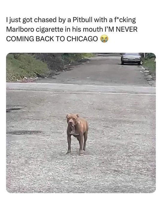 ShitpostGate's tweet photo. ︎ ︎ ︎ ︎ ︎ ︎ ︎ ︎ ︎ ︎ ︎ ︎ ︎ ︎ ︎ ︎ ︎ ︎ ︎ ︎ ︎ ︎ ︎ ︎ ︎ ︎ ︎ ︎ ︎ ︎ ︎ ︎ ︎ ︎ ︎ ︎ ︎ https://t.co/uXwmLEqDK2