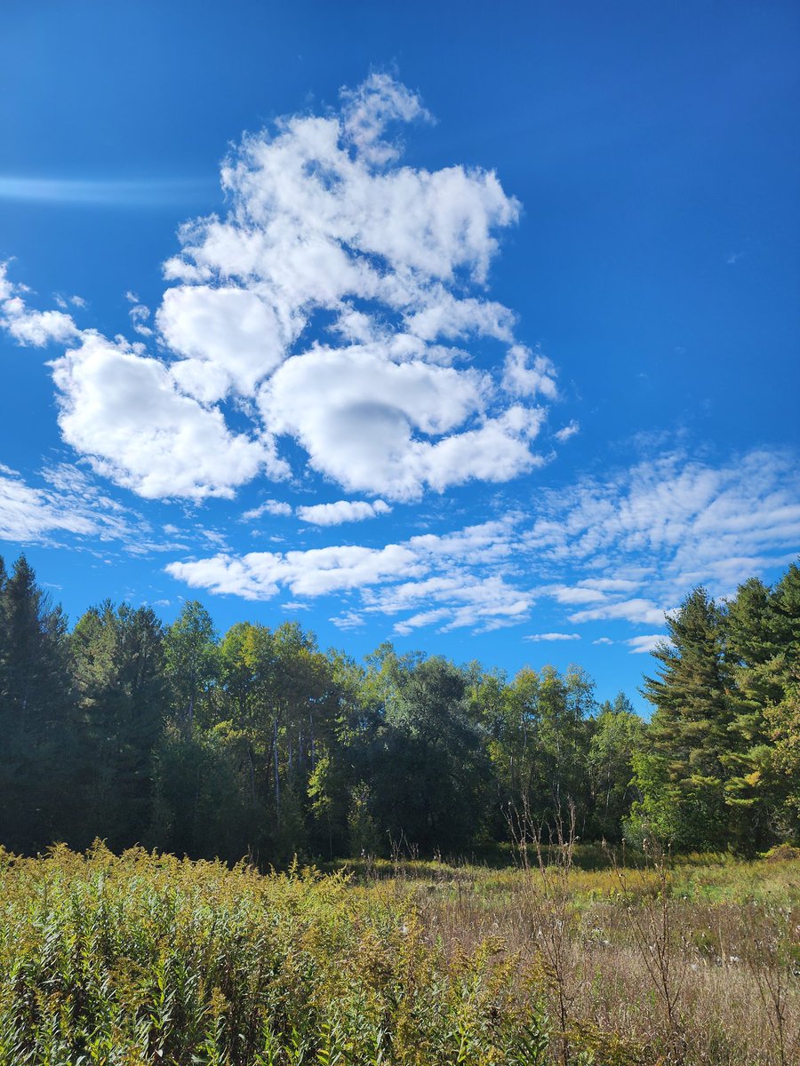 Kathleen Moll tweet media