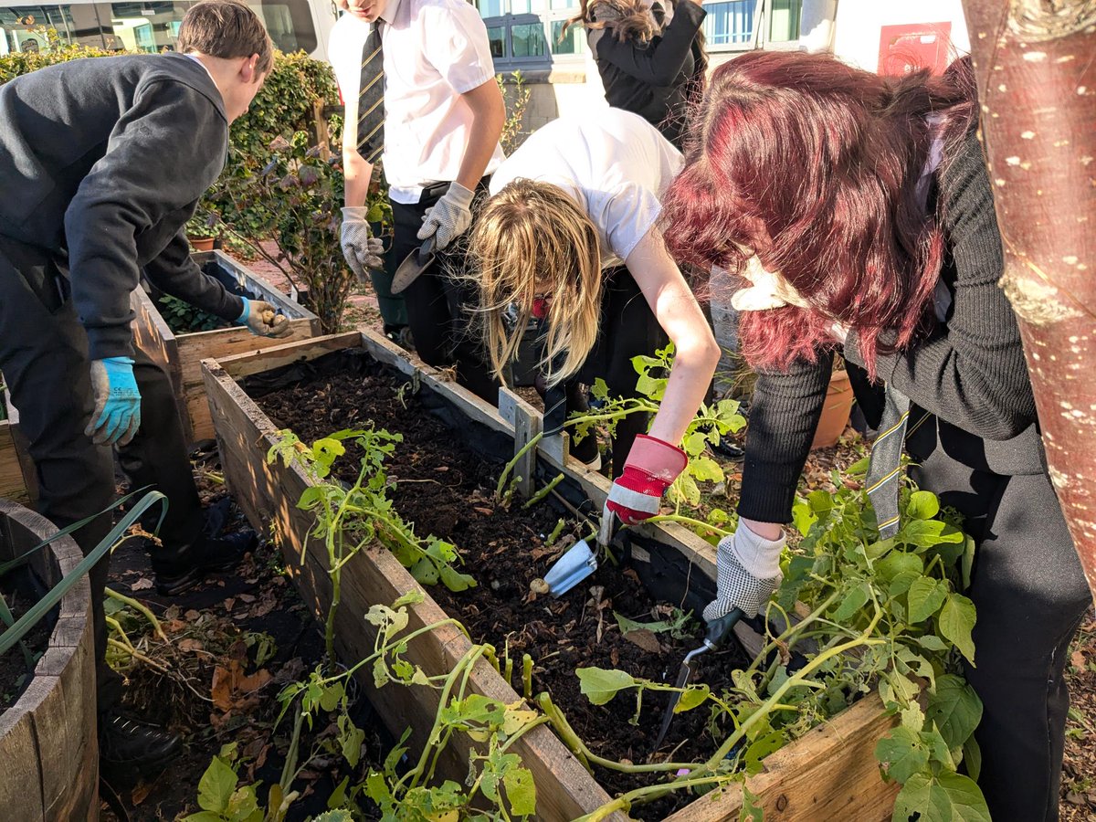 Pupil Support tweet media