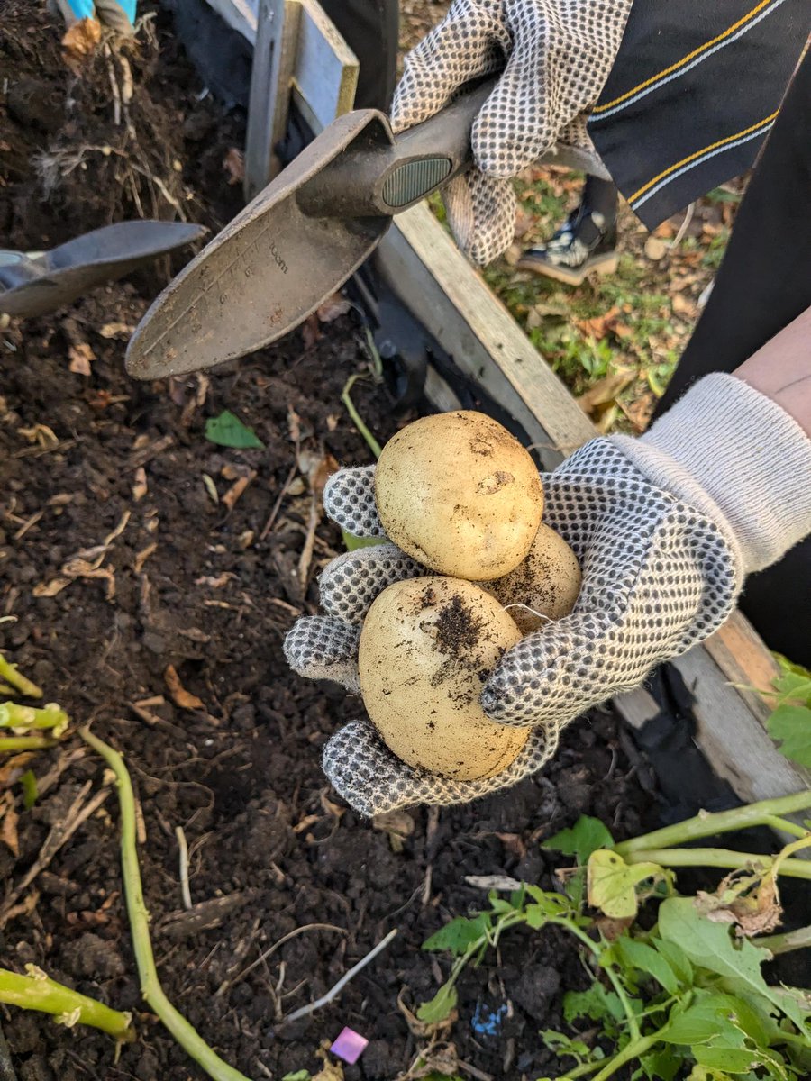 Pupil Support tweet media