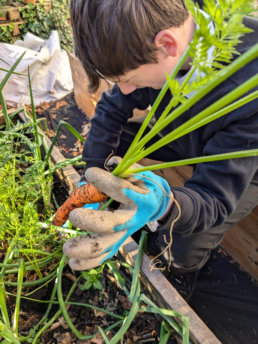 Pupil Support tweet media