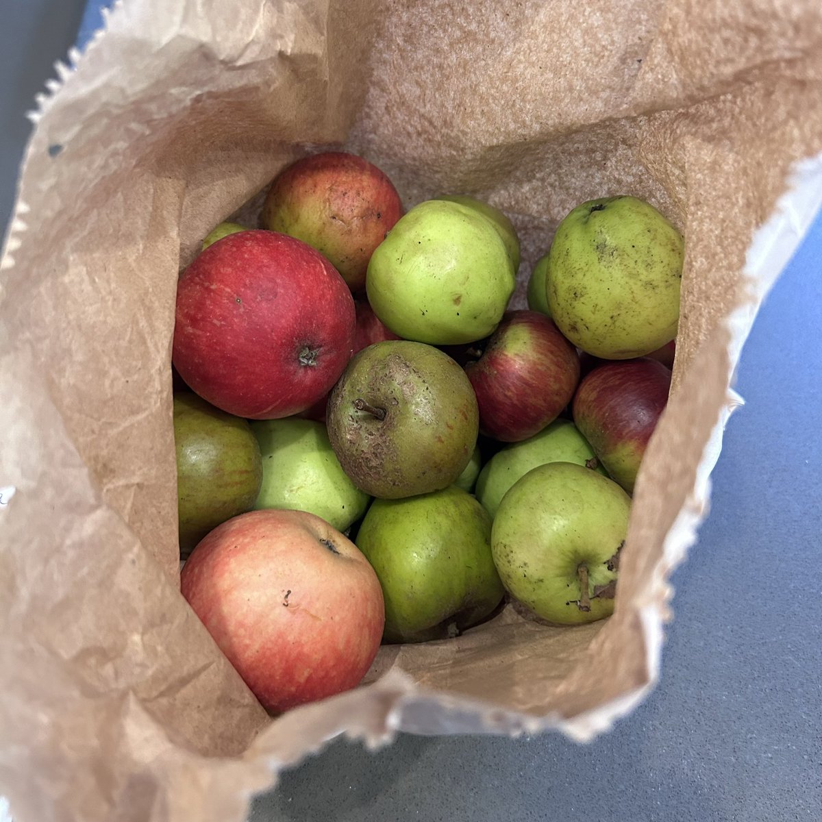 DaintyMonkey's tweet image. One of my lovely customers left me a bag of their “hyper local, organic, allotment apples”. Will use some for puree for granola and the rest will go into apple pie cookies!!! Thank you so much @MAViatte ❤️
#edinburghfood #microbakery