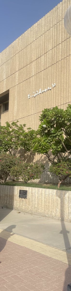 لجين باعوض tweet media